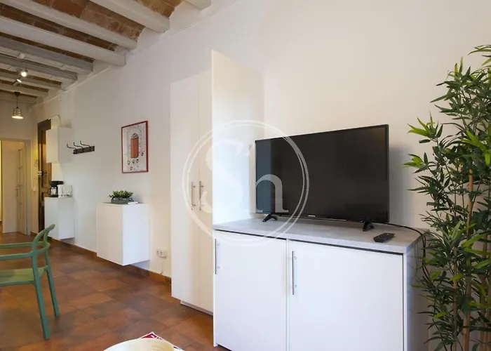 Cozy Apartment Beside Sagrada Familia For 2 Apartment Barcelona